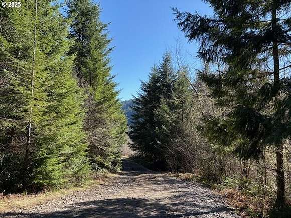 161 Acres of Recreational Land for Sale in Scotts Mills, Oregon