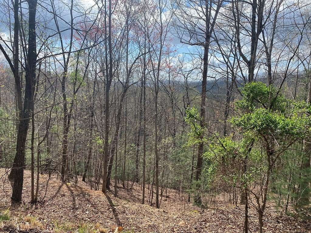 Residential Land for Sale in Murphy, North Carolina