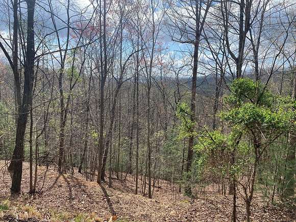 Residential Land for Sale in Murphy, North Carolina