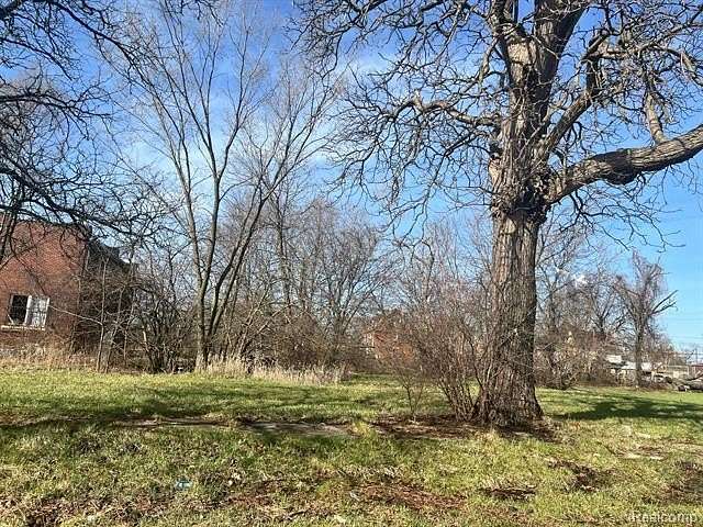 0.13 Acres of Residential Land for Sale in Detroit, Michigan