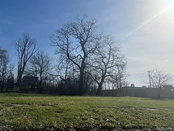0.09 Acres of Residential Land for Sale in Detroit, Michigan