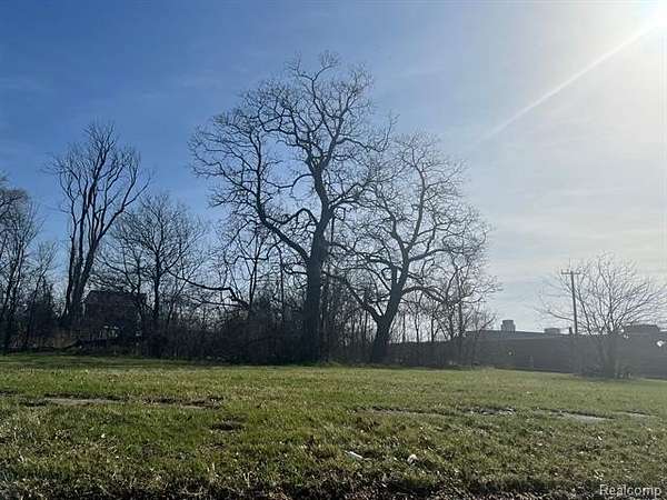 0.09 Acres of Residential Land for Sale in Detroit, Michigan