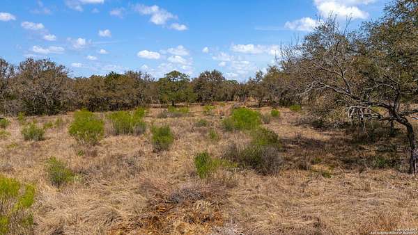 12 Acres of Land for Sale in Hondo, Texas
