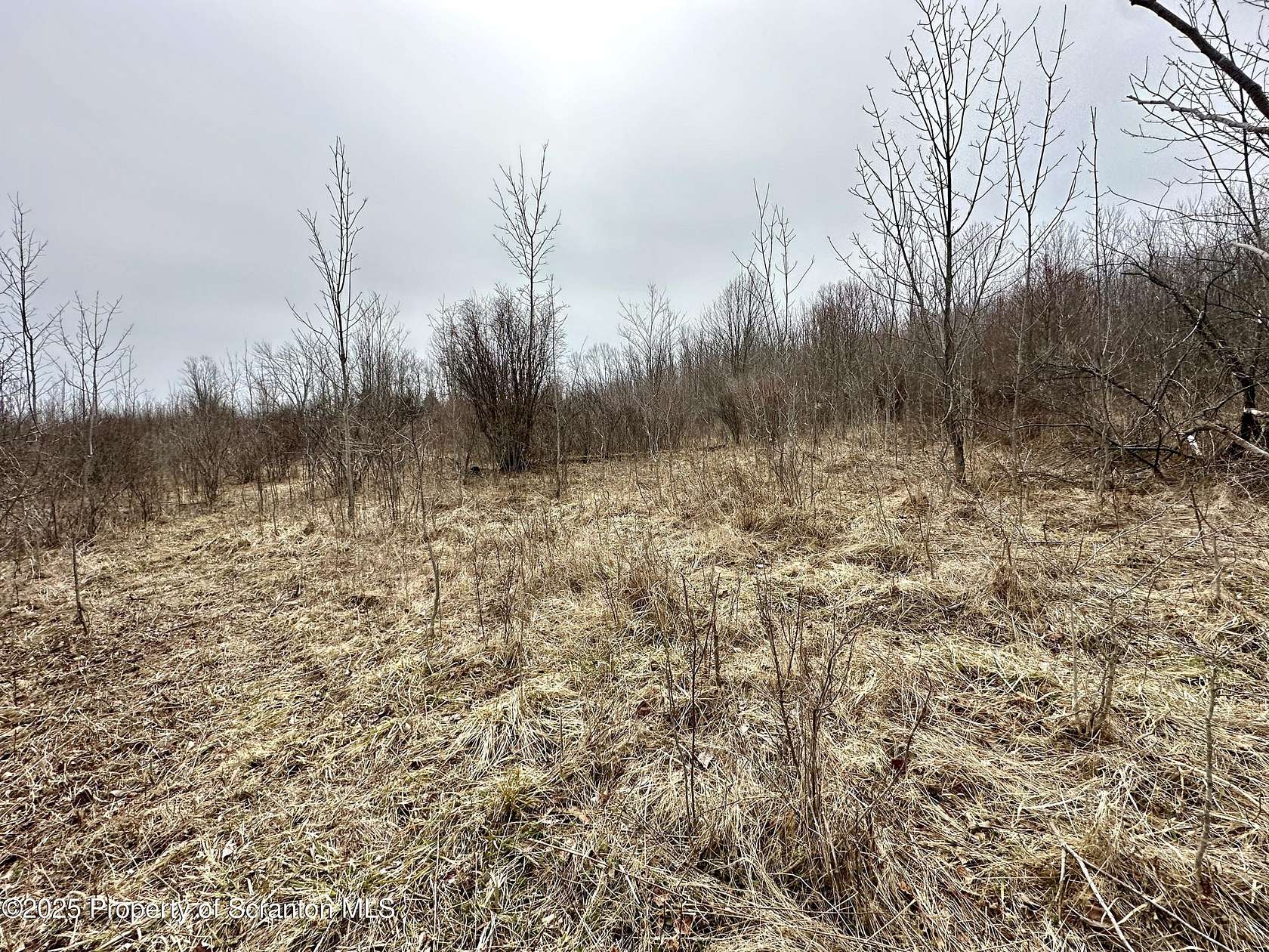 10.2 Acres of Land for Sale in Pleasant Mount, Pennsylvania