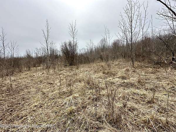 10.2 Acres of Land for Sale in Pleasant Mount, Pennsylvania