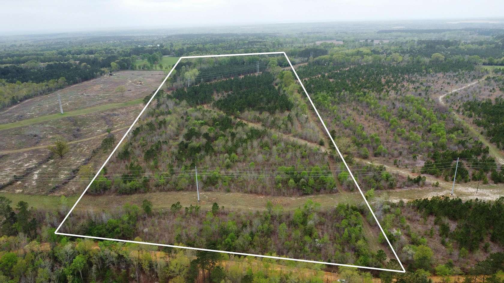 34 Acres of Land for Sale in Springfield, South Carolina