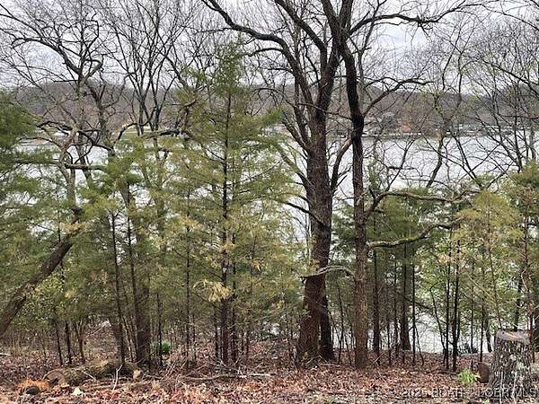 0.59 Acres of Land for Sale in Versailles, Missouri