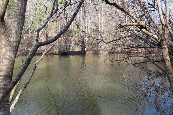 1.36 Acres of Land for Sale in Ellijay, Georgia