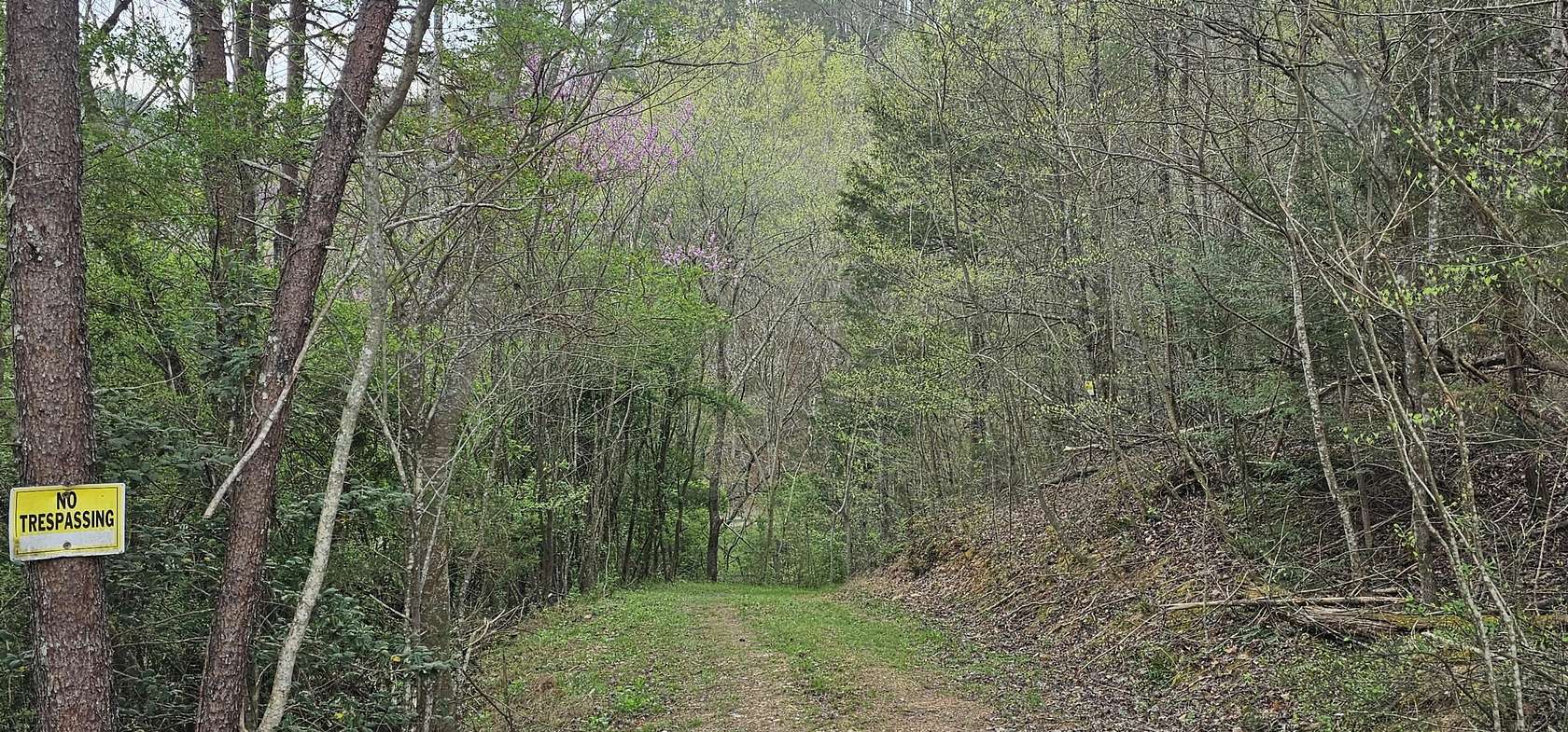5 Acres of Residential Land for Sale in Reliance, Tennessee