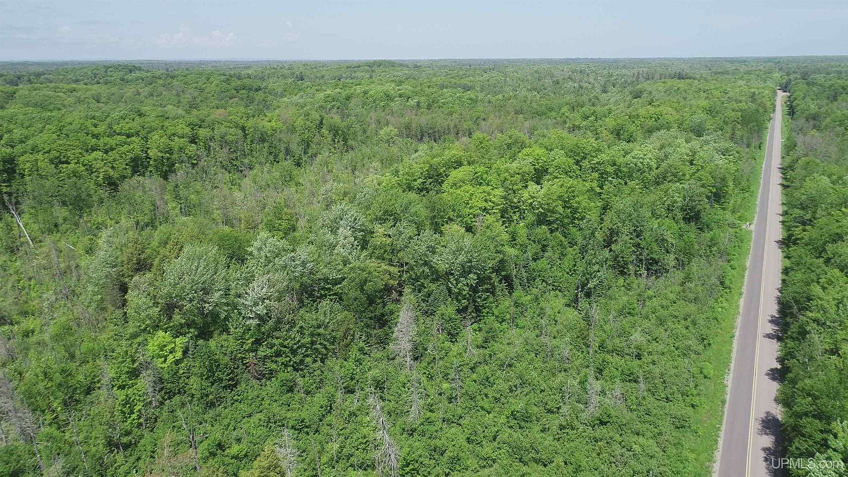 40 Acres of Land for Sale in Skandia, Michigan
