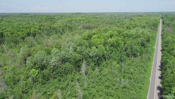 40 Acres of Land for Sale in Skandia, Michigan