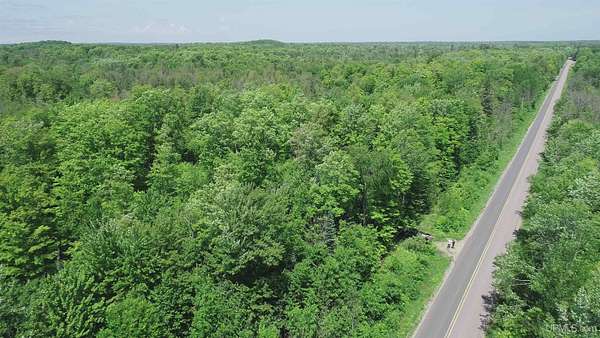 40 Acres of Land for Sale in Skandia, Michigan