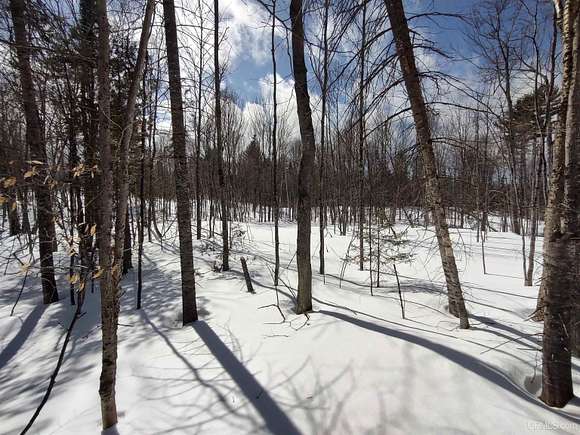 10 Acres of Land for Sale in Christmas, Michigan