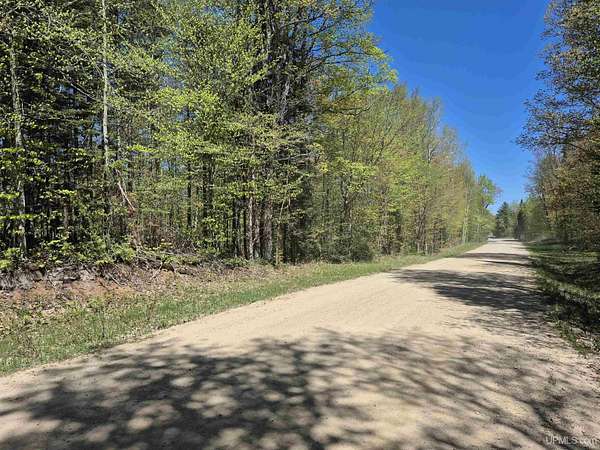 8.69 Acres of Land for Sale in Christmas, Michigan