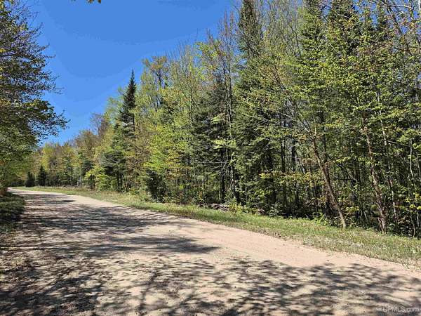 8 Acres of Land for Sale in Christmas, Michigan