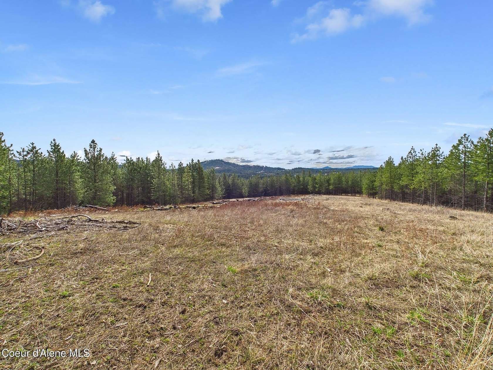 20 Acres of Recreational Land for Sale in St. Maries, Idaho