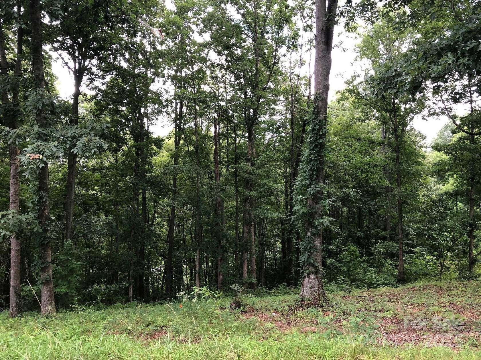 0.63 Acres of Residential Land for Sale in Asheville, North Carolina