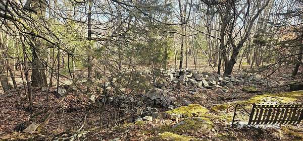 40 Acres of Land for Sale in Redgranite, Wisconsin