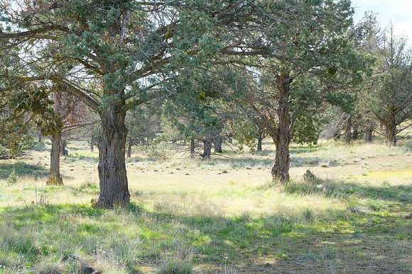 0.56 Acres of Residential Land for Sale in Weed, California