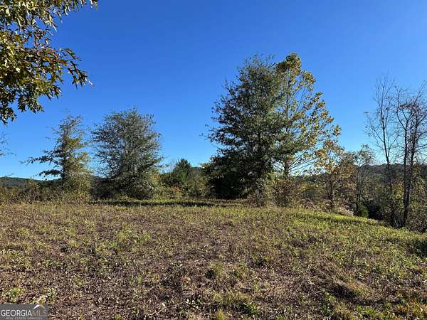 1 Acre of Land for Sale in Lakemont, Georgia