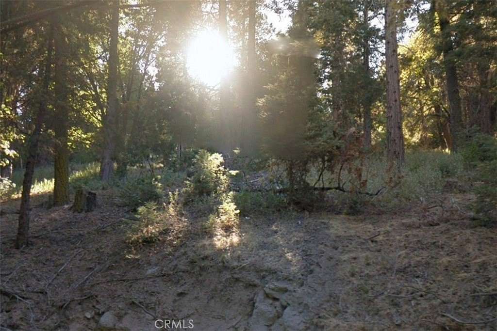 0.1 Acres of Land for Sale in Cedarpines Park, California