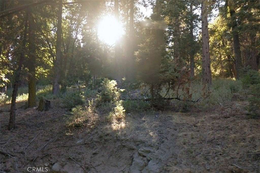 0.1 Acres of Land for Sale in Cedarpines Park, California