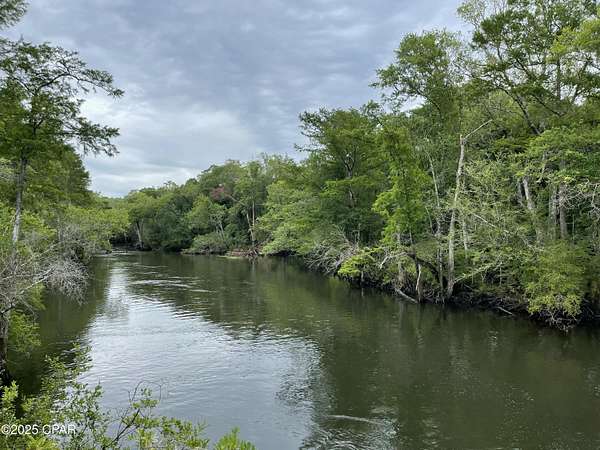 240 Acres of Land for Sale in Vernon, Florida