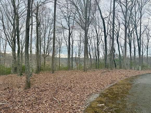 3.88 Acres of Residential Land for Sale in Russell Springs, Kentucky