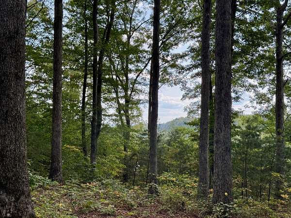 3.88 Acres of Residential Land for Sale in Russell Springs, Kentucky
