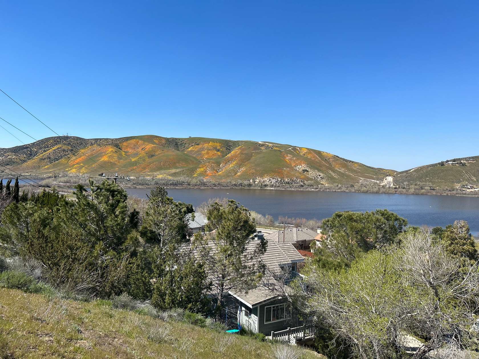 0.17 Acres of Residential Land for Sale in Lake Hughes, California