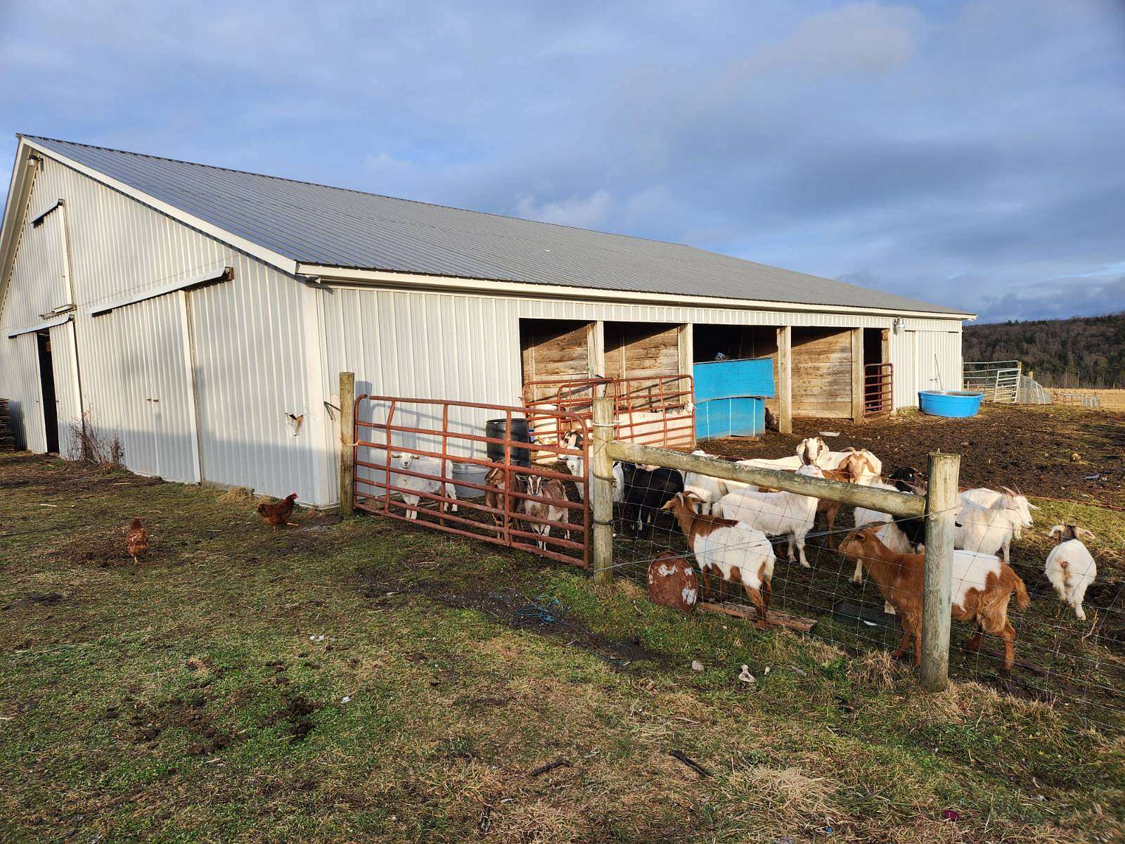 71.2 Acres of Recreational Land & Farm for Sale in Brookfield, New York