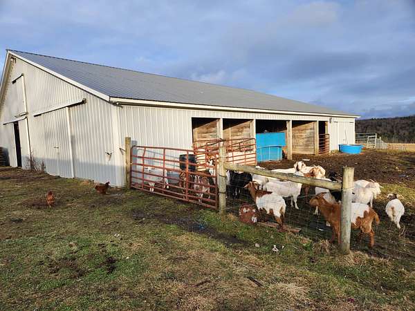 71.2 Acres of Recreational Land & Farm for Sale in Brookfield, New York