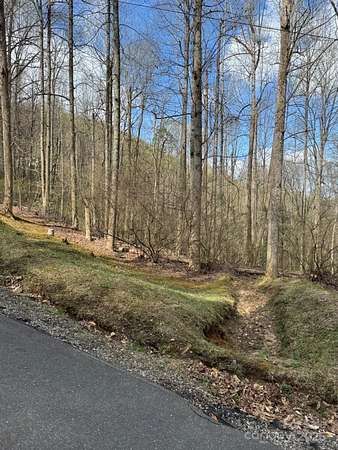 61.1 Acres of Recreational Land for Sale in Sylva, North Carolina