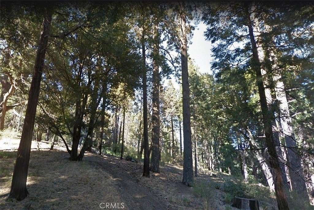 0.05 Acres of Land for Sale in Cedarpines Park, California