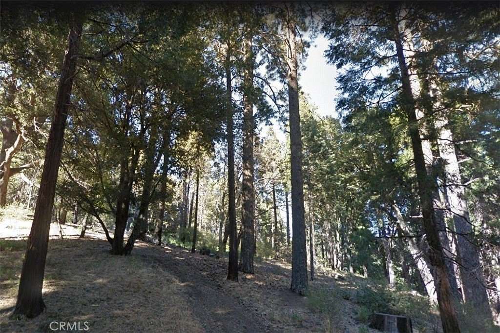 0.05 Acres of Land for Sale in Cedarpines Park, California