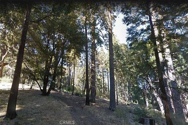 0.05 Acres of Land for Sale in Cedarpines Park, California