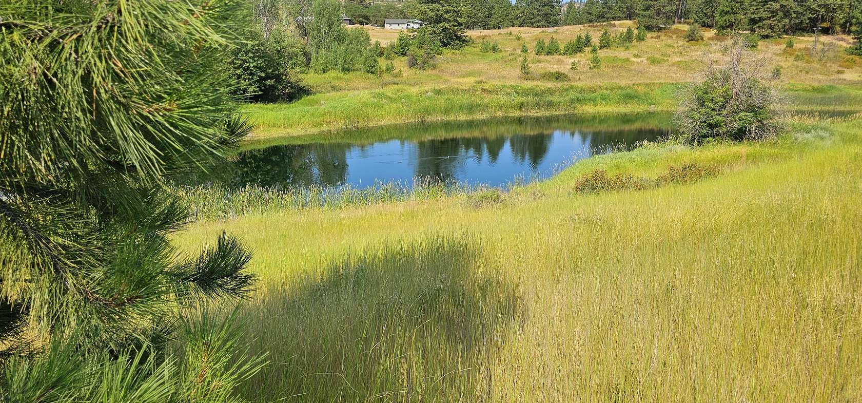 3.4 Acres of Residential Land for Sale in Colville, Washington