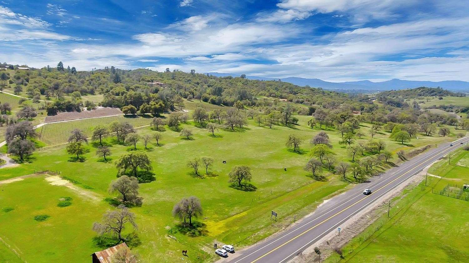 35.3 Acres of Agricultural Land for Sale in Murphys, California