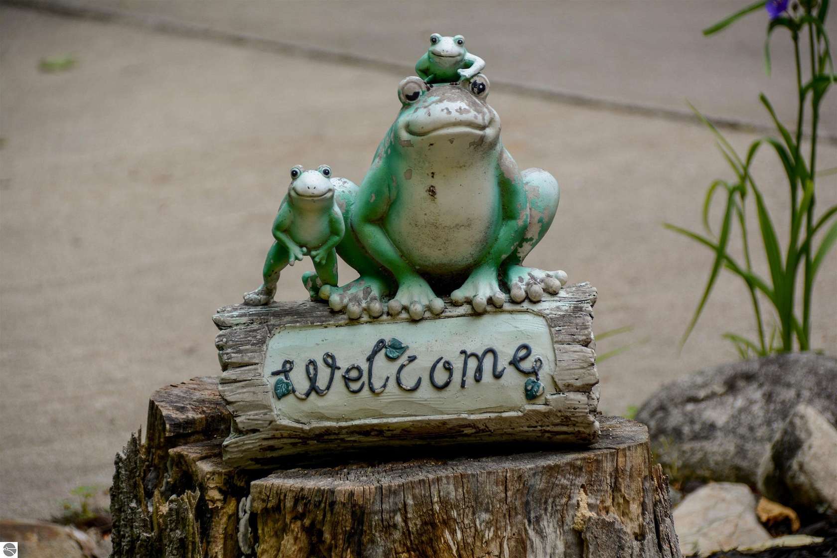 31 Acres of Recreational Land with Home for Sale in Lake Leelanau, Michigan