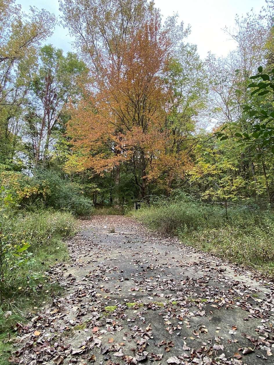 15.6 Acres of Recreational Land for Sale in Grand Junction, Michigan