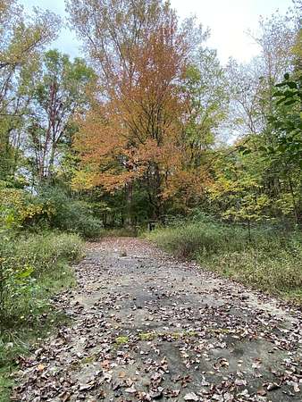 15.6 Acres of Recreational Land for Sale in Grand Junction, Michigan