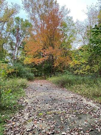 15.6 Acres of Recreational Land for Sale in Grand Junction, Michigan
