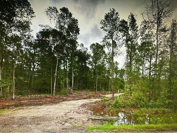 16 Acres of Land for Sale in Merryville, Louisiana