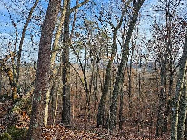 1.38 Acres of Residential Land for Sale in Evensville, Tennessee