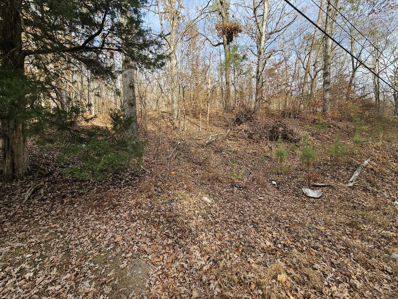 0.89 Acres of Residential Land for Sale in Evensville, Tennessee