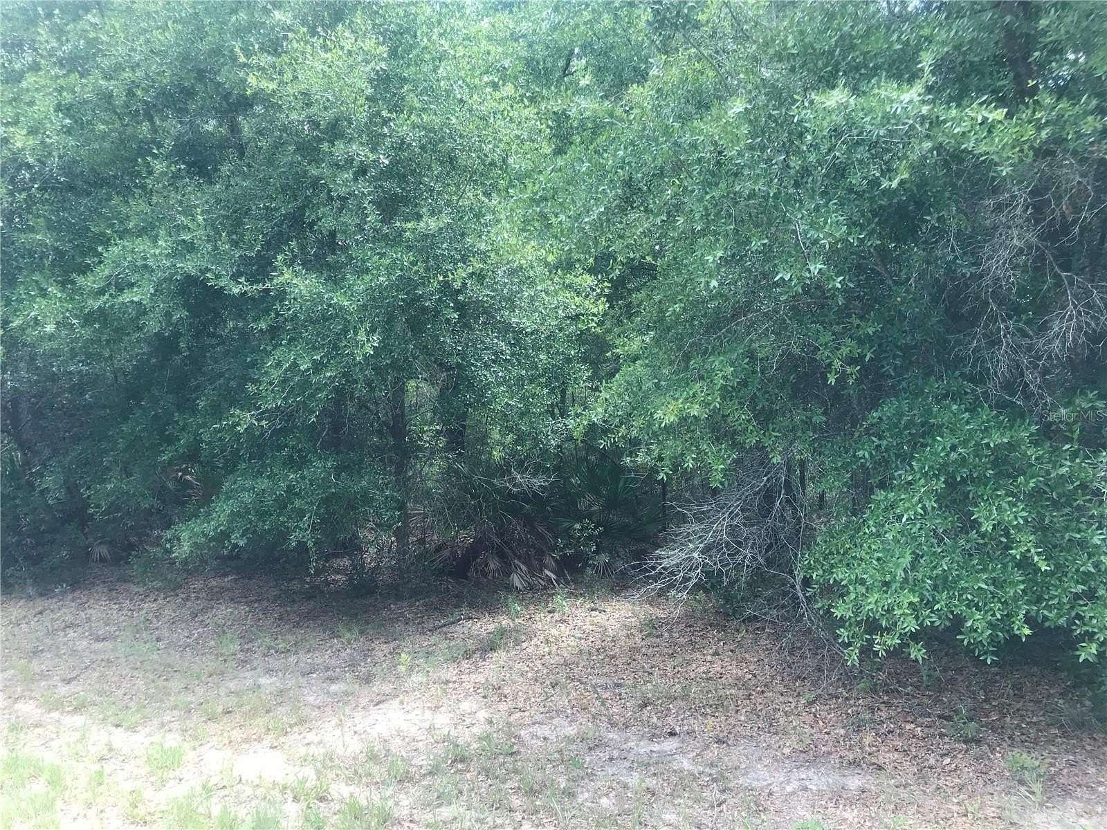 0.28 Acres of Residential Land for Sale in Citrus Springs, Florida
