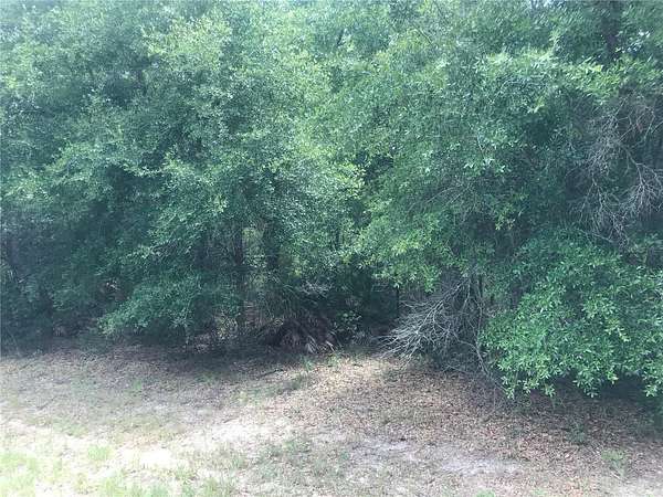 0.28 Acres of Residential Land for Sale in Citrus Springs, Florida