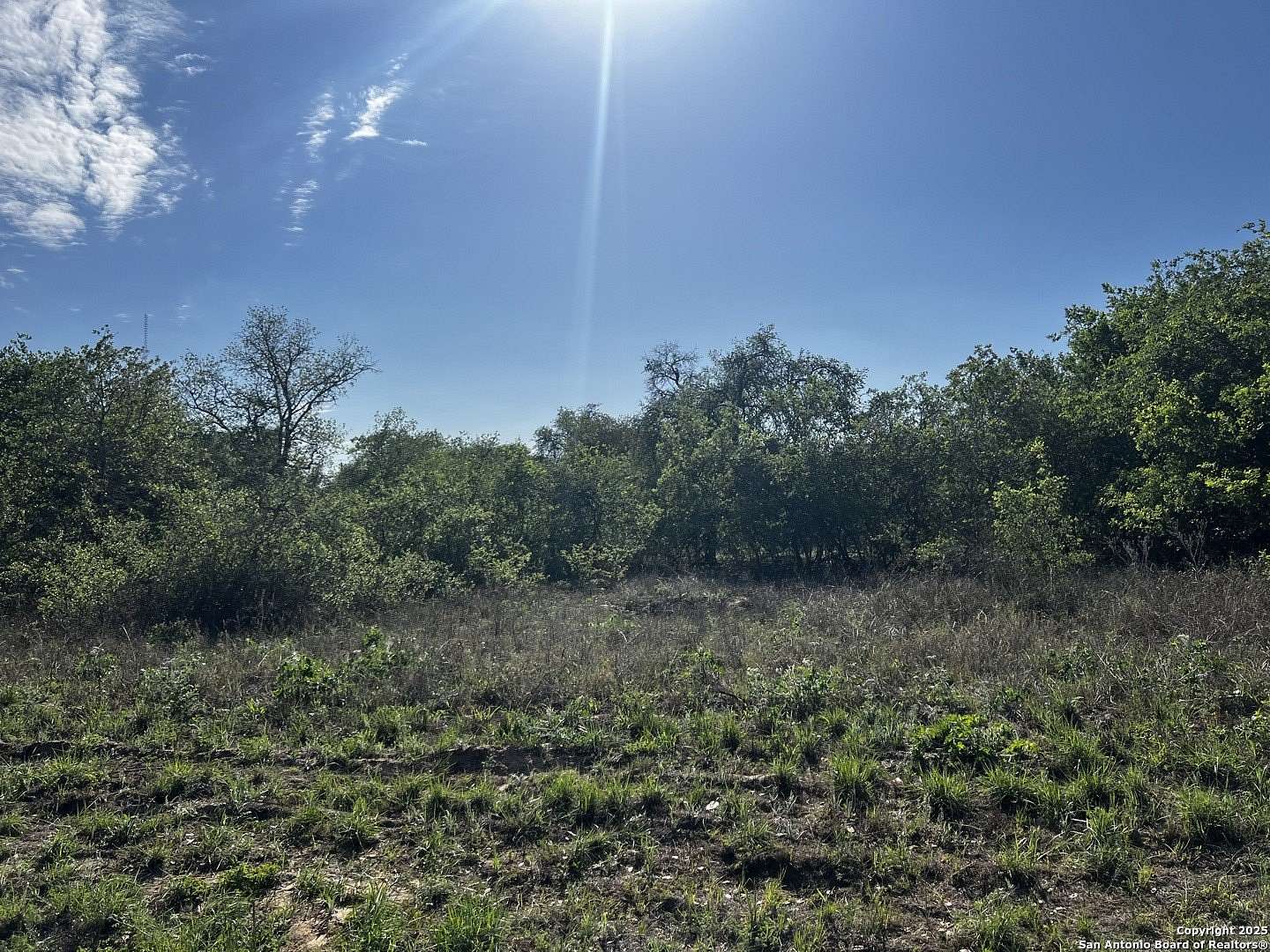 0.91 Acres of Residential Land for Sale in Poteet, Texas