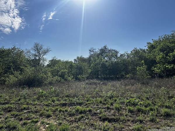 0.91 Acres of Residential Land for Sale in Poteet, Texas