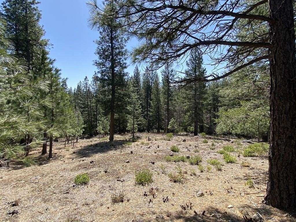 14.2 Acres of Land for Sale in Weed, California